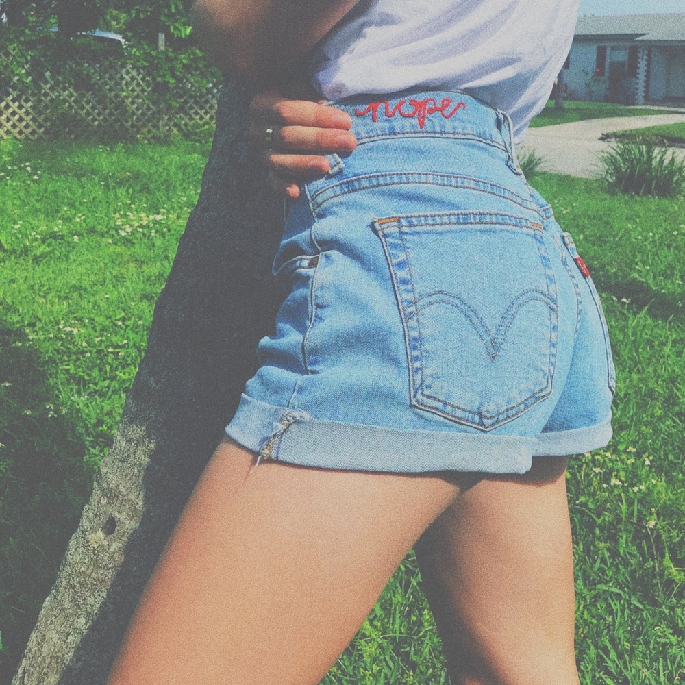 Levi’s Denim Shorts Embroidered